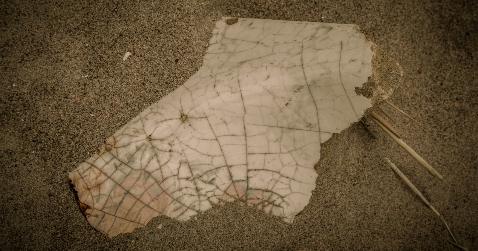 art-of-sandy-mo-seagate 2-36.jpg